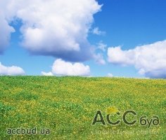 Власти никак не посчитают землю