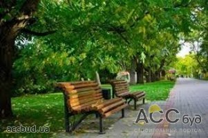 Зеленые зоны Киева благоустроят