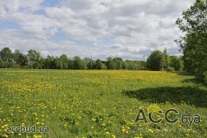 Минимальный срок аренды земли