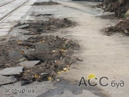 Одесские активисты спасают деревья на Французском бульваре