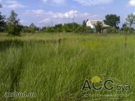 В ноябре в Киевской области был продан 721 земельный участок