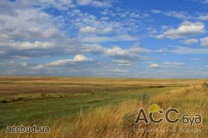 Китайские компании не будут арендовать украинскую землю