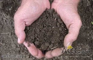 Болгария продлит мораторий на продажу земли иностранцам